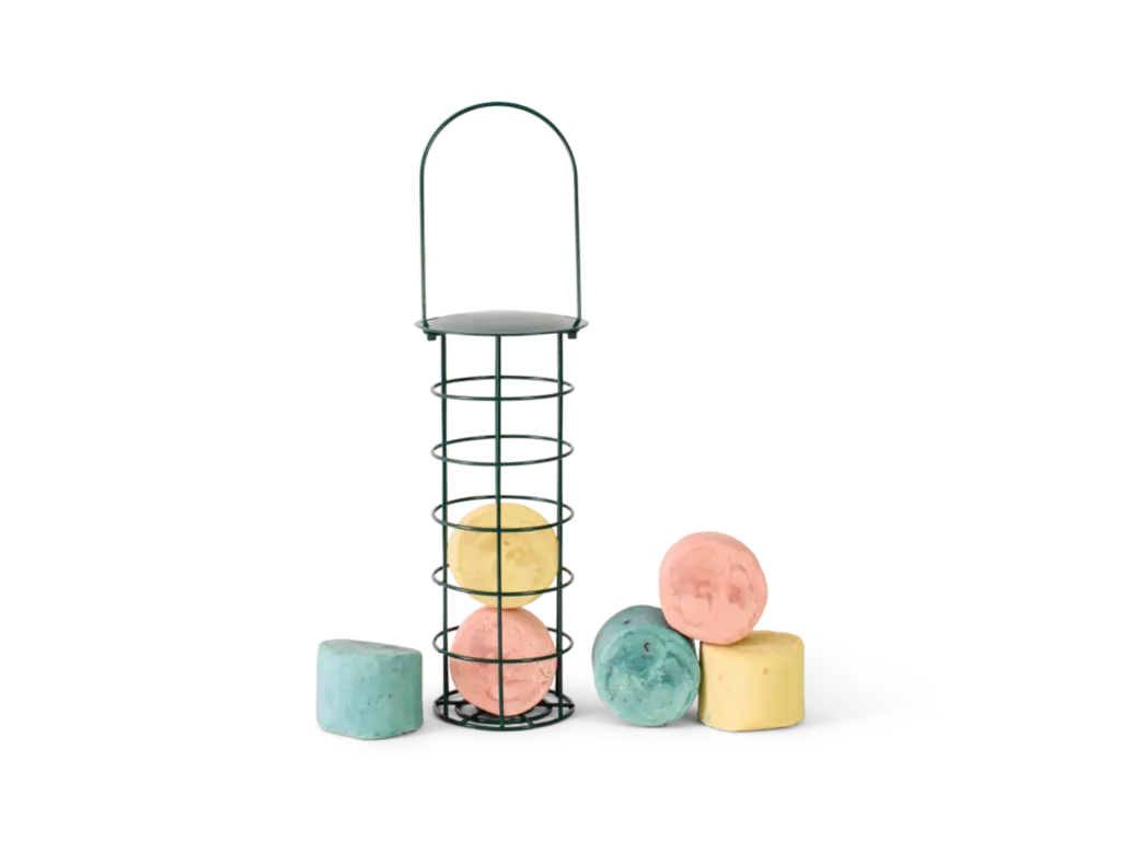 Topflite Energy Truffle Bird Feeder with Energy Truffles